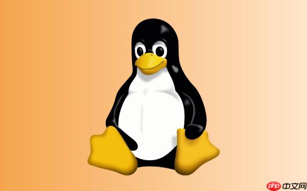 如何挂载Linux外部设备 mount命令与/etc/fstab配置详解