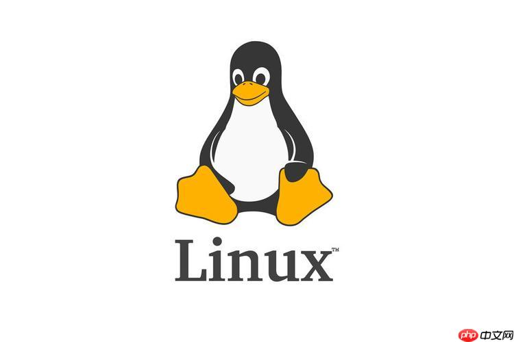 Linux如何设置文件默认权限？chmod和umask如何配合？-小浪学习网