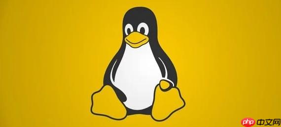 Linux虚拟机性能调优_LinuxKVM资源分配与优化