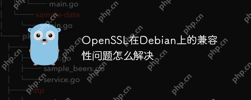 OpenSSL在Debian上的兼容性问题怎么解决-小浪学习网