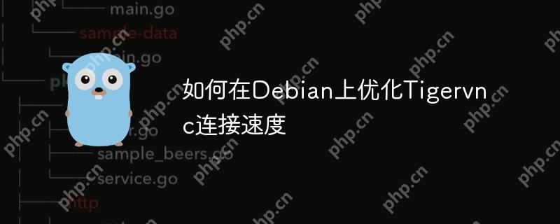 如何在Debian上优化Tigervnc连接速度-小浪学习网