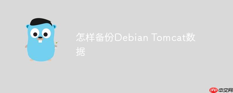 怎样备份Debian Tomcat数据-小浪学习网