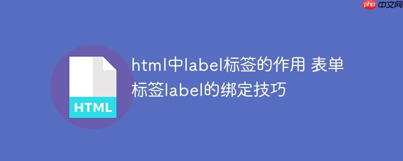 html中label标签的作用 表单标签label的绑定技巧-小浪学习网