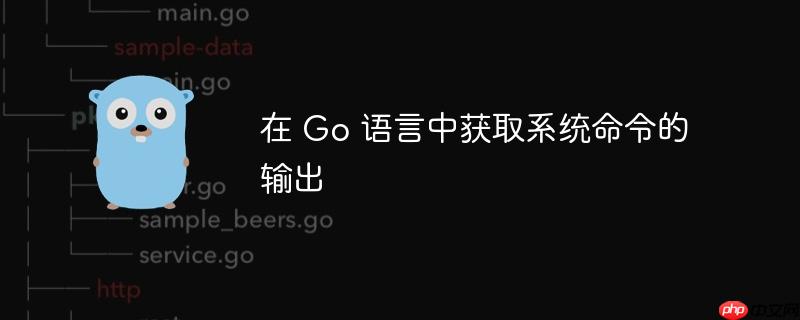 在 Go 语言中获取系统命令的输出-小浪学习网