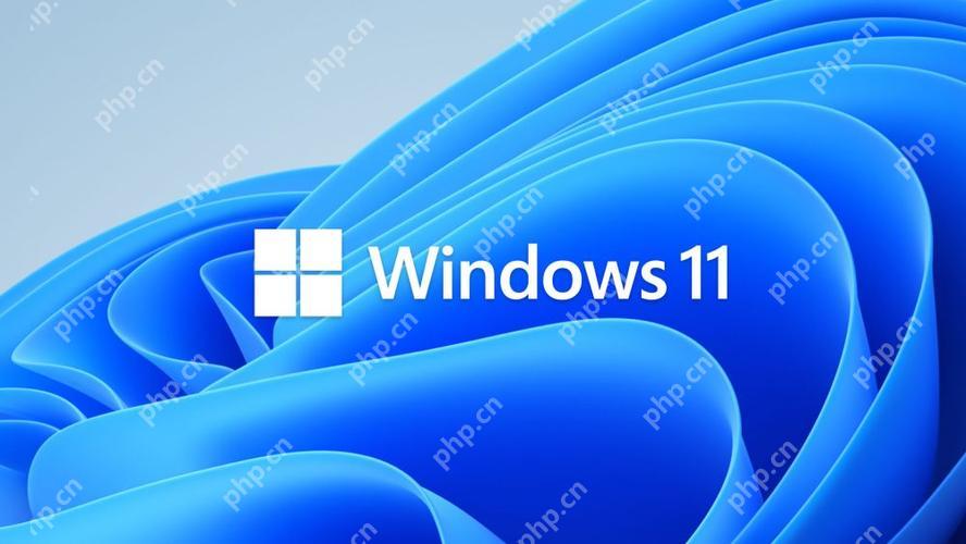 win11跳过网络连接教程 win11绕过网络连接方法-小浪学习网