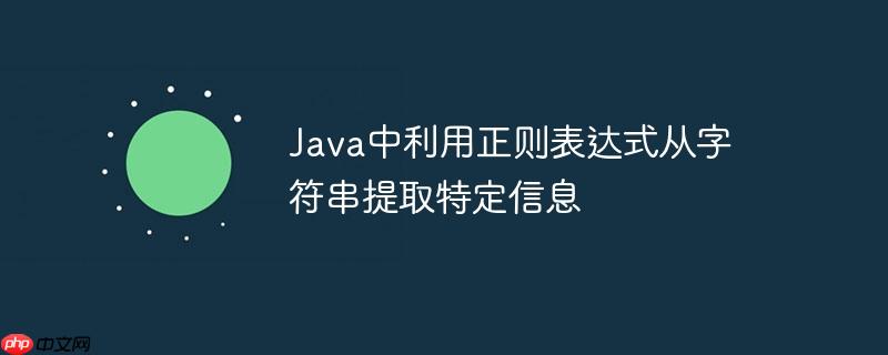 Java中利用正则表达式从字符串提取特定信息-小浪学习网