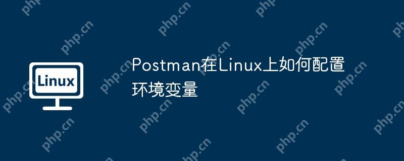 Postman在Linux上如何配置环境变量-小浪学习网
