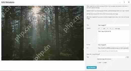 如何在 WordPress 中从 NextGEN 切换到 Envira Gallery