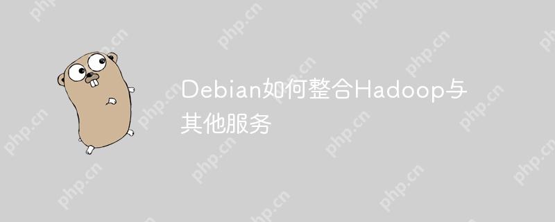 Debian如何整合Hadoop与其他服务-小浪学习网