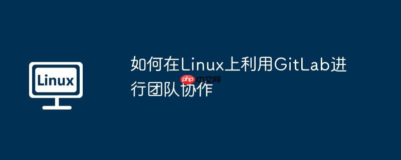 如何在Linux上利用GitLab进行团队协作-小浪学习网