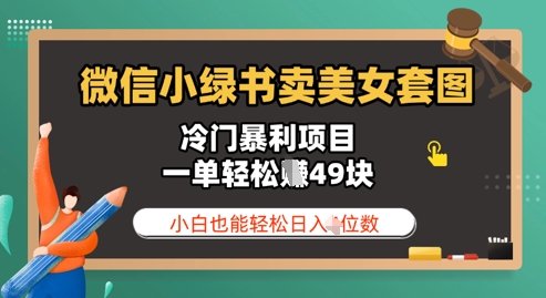 微信小绿书卖美女套图，冷门暴利项目，一单轻松挣49块，小白也能轻松日入3位数-小浪学习网
