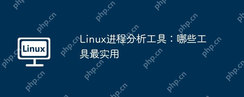 Linux进程分析工具：哪些工具最实用-小浪学习网