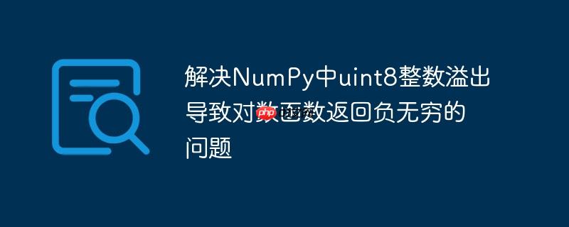解决NumPy中uint8整数溢出导致对数函数返回负无穷的问题-小浪学习网