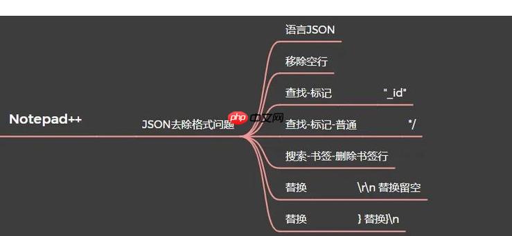 Notepad++插件更新不及时的解决办法-小浪学习网