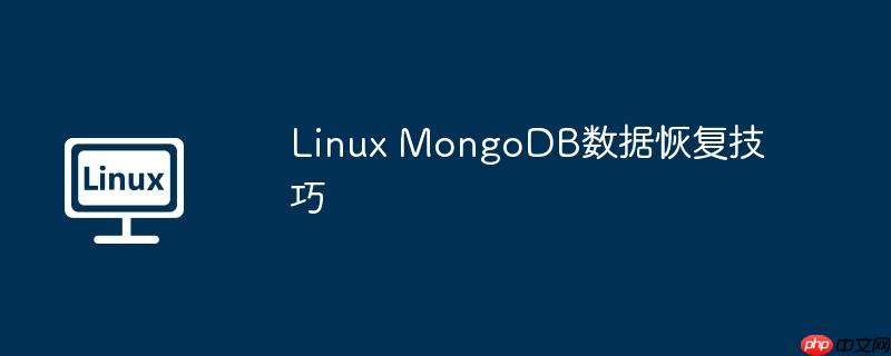 Linux MongoDB数据恢复技巧-小浪学习网