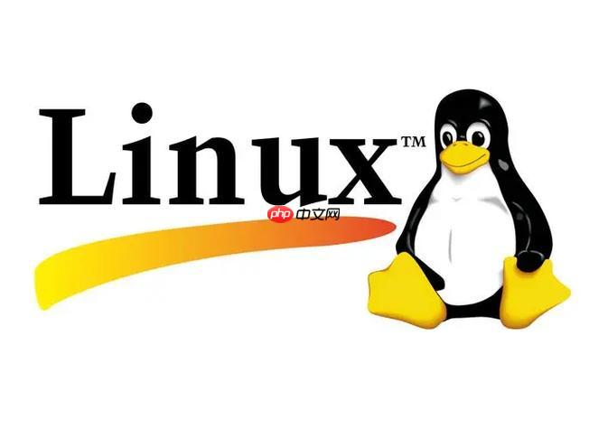 处理Linux系统"Read-only file system"错误的技巧-小浪学习网