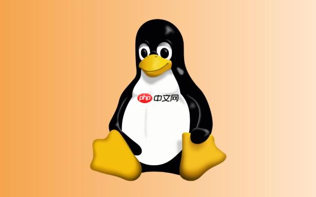 如何配置Linux网络绑定 bonding模式选择与配置方法-小浪学习网