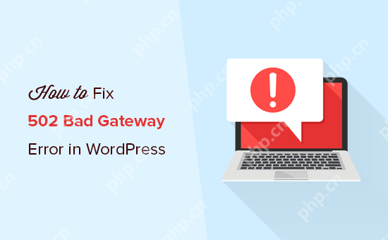 如何修复 WordPress 中的 502 错误网关错误-小浪学习网