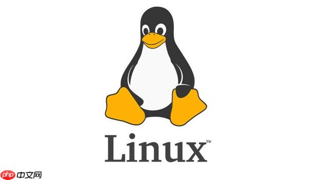 如何理解Linux根目录结构 主要目录功能解析与用途说明