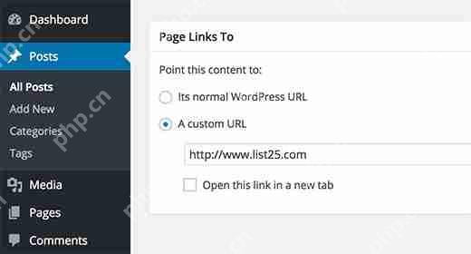 如何从 WordPress 中的帖子标题链接到外部链接