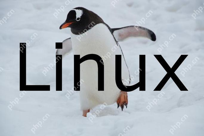Linux如何监控网络流量？iftop和nload有什么区别？-小浪学习网
