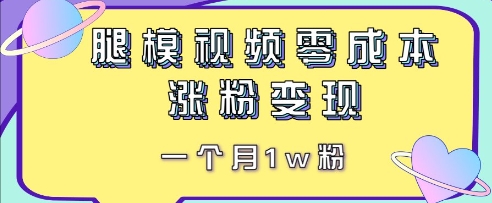 腿模视频，零成本涨粉变现，一个月1w粉-小浪学习网