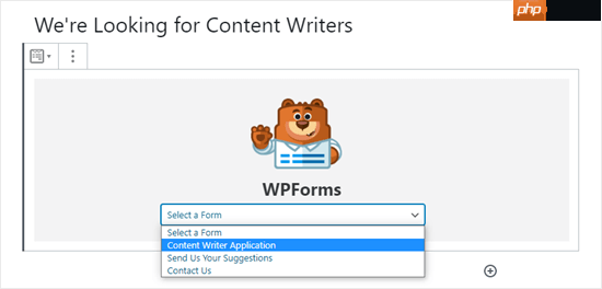 如何在 WordPress 中创建工作申请表（简单）