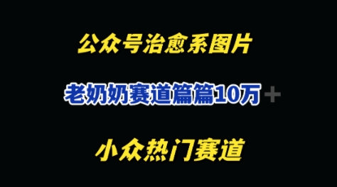 公众号老奶奶治愈系流量主，篇篇10W+-小浪学习网