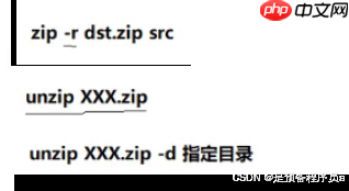 装杯 之 Linux指令【补充篇】-小浪学习网