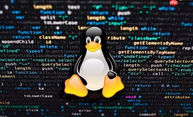 Linux虚拟机性能调优_LinuxKVM资源分配与优化