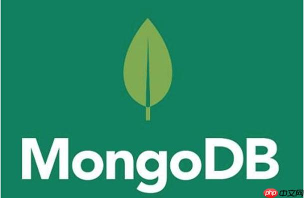 MongoDB索引优化技巧有哪些 这些索引优化技巧让你的查询速度提升10倍-小浪学习网