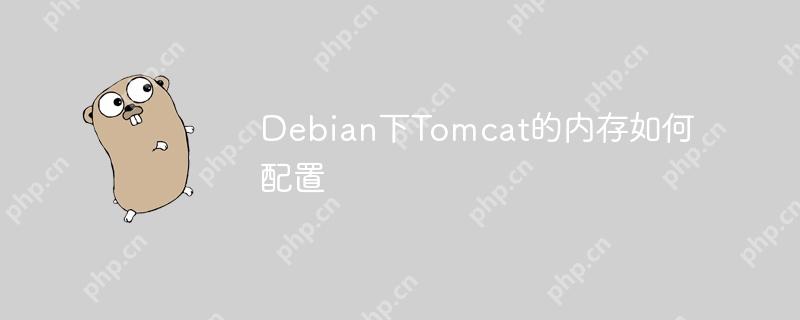 Debian下Tomcat的内存如何配置-小浪学习网