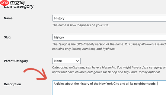 如何跟踪 WordPress 类别和标签分析（简单方法）