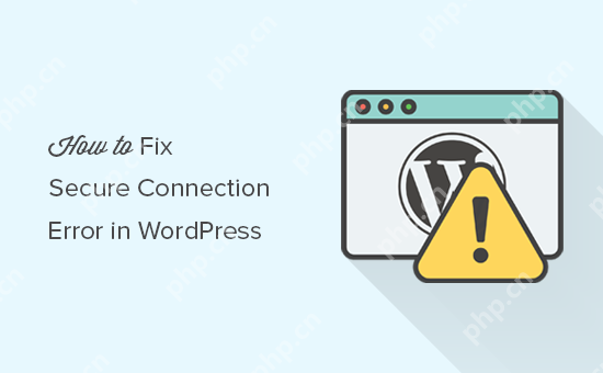 如何修复 WordPress 中的安全连接错误-小浪学习网