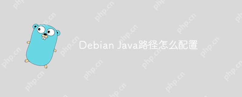 Debian Java路径怎么配置-小浪学习网