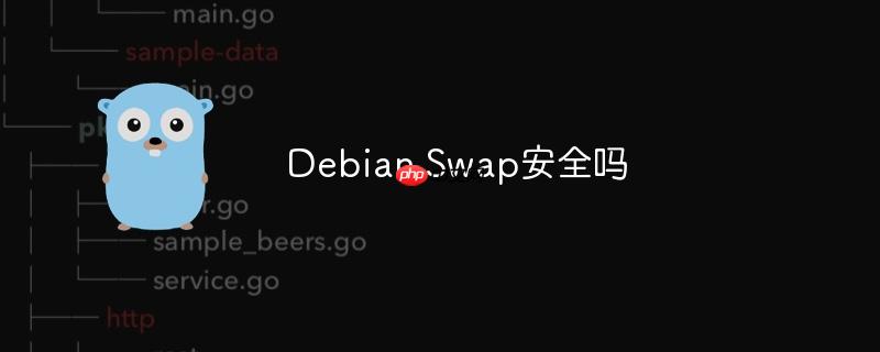 Debian Swap安全吗-小浪学习网