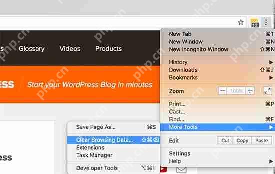 如何修复 WordPress 中的 502 错误网关错误