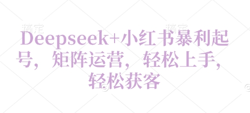 Deepseek+小红书暴利起号，矩阵运营，轻松上手，轻松获客-小浪学习网