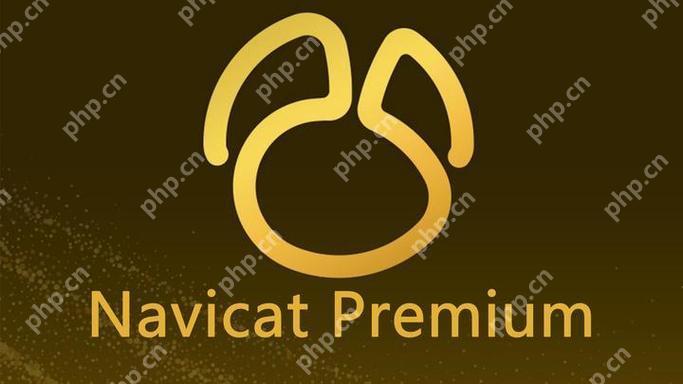 Navicat操作数据库时的磁盘I/O性能优化策略-小浪学习网