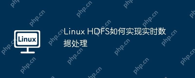 Linux HDFS如何实现实时数据处理-小浪学习网