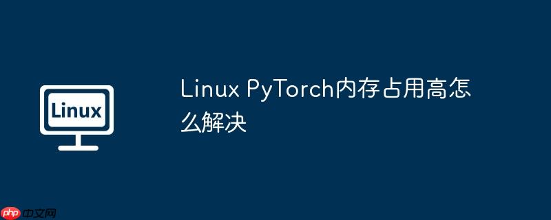 Linux PyTorch内存占用高怎么解决-小浪学习网