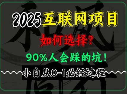 2025年互联网项目搞钱方法论，全是干货，肺腑之言，新手从0-1必经过程，边看边实操-小浪学习网