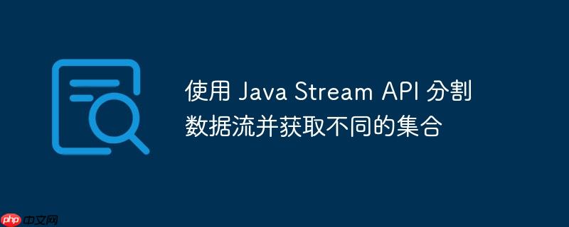 使用 Java Stream API 分割数据流并获取不同的集合-小浪学习网