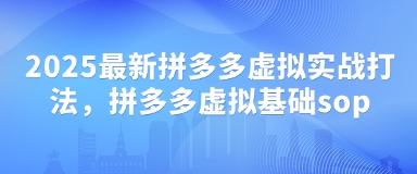 2025最新拼多多虚拟实战打法，拼多多虚拟基础sop-小浪学习网