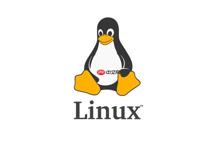 排查Linux网络"No buffer space available"问题的指南-小浪学习网