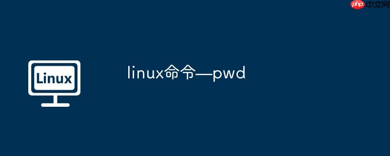 linux命令—pwd-小浪学习网