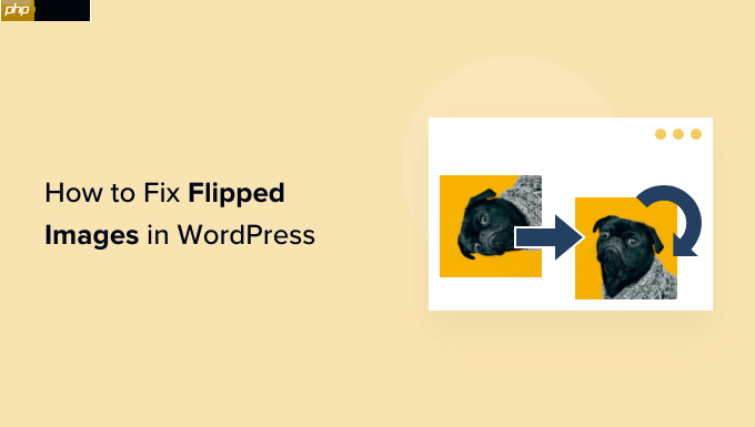 如何修复 WordPress 中颠倒或翻转的图像