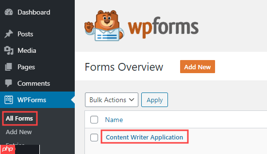 如何在 WordPress 中创建工作申请表（简单）