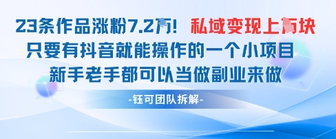 抖音私域项目23条作品涨粉7.2W，私域变现1W-小浪学习网