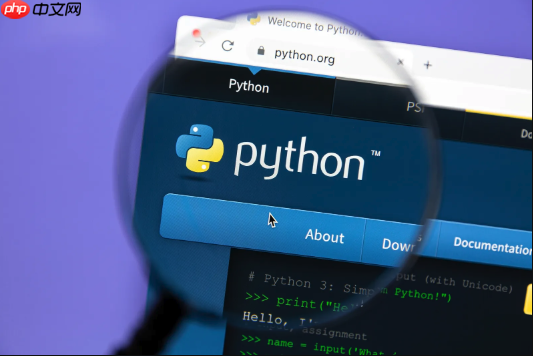 Python中的日志记录（Logging）如何配置更高效？
